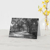 Shade "Neath Spanish Moss Karte (Gelbe Blume)