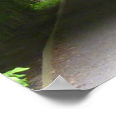 Shaded Botanic Garden Arbor Poster (Ecke)