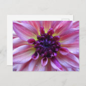 Shades der Lila Dahlia Nah Up DIY Postkarte (Vorne/Hinten)