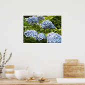Shades of Blue Hydrangeas Poster (Küche)
