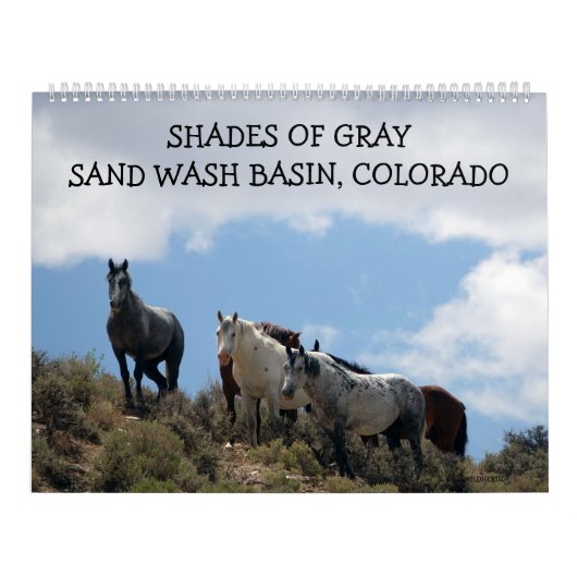 Shades of Gray Sand Wash Basin, Colorado Kalender (Titelbild)