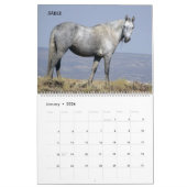 Shades of Gray Sand Wash Basin, Colorado Kalender (Jan 2026)