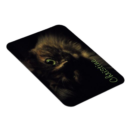 Shadow Cat Art Fotografie Green Eyes Kitty Magnet (Rechte Seite)