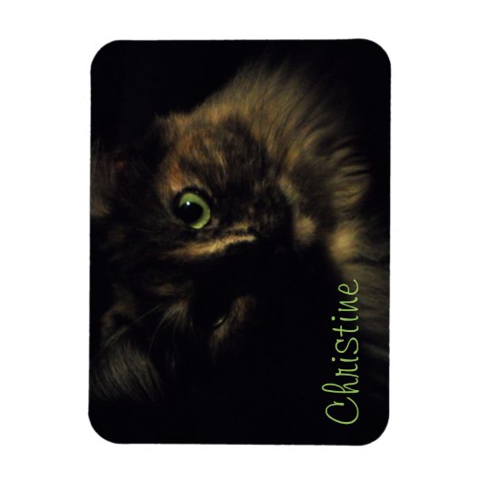 Shadow Cat Art Fotografie Green Eyes Kitty Magnet (Vertikal)