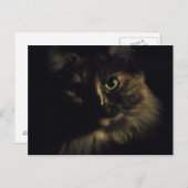 Shadow Cat Art Fotografie Green Eyes Kitty Postkarte (Vorne/Hinten)