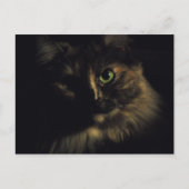 Shadow Cat Art Fotografie Green Eyes Kitty Postkarte (Vorderseite)