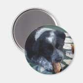 Shadow Magnet (Vorderseite/Rückseite)