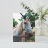 Shadow Postkarte (Stehend Vorderseite)