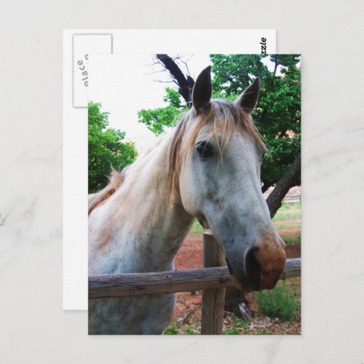 Shadow Postkarte (Vorne/Hinten)