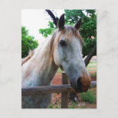 Shadow Postkarte (Vorderseite)