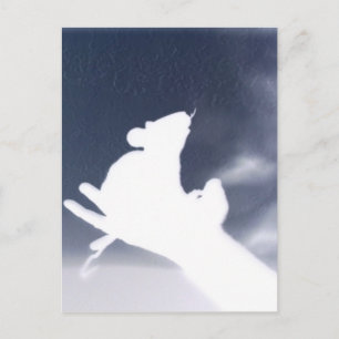 Shadow Rat Postkarte