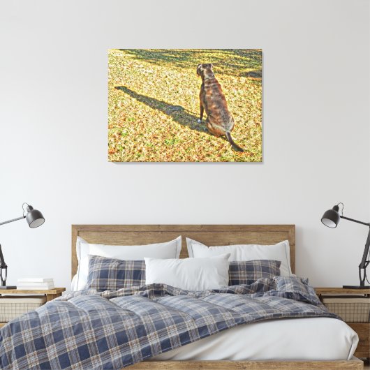 Shadow und seine Leinwand (Insitu (Schlafzimmer))