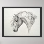 Shadowfax Poster (Vorne)