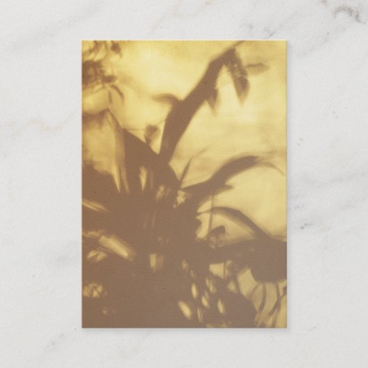 Shadows ATC Visitenkarte (Vorderseite)