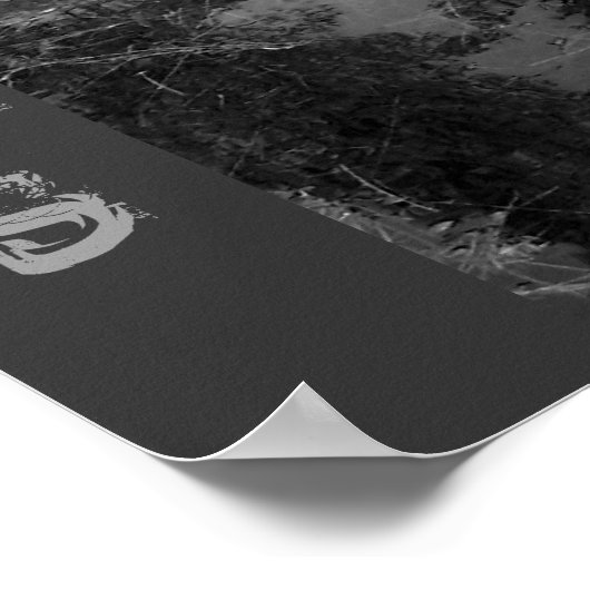 SHADOWS Poster (Ecke)