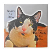 Shady Cat Keramik Tile Fliese (Vorderseite)