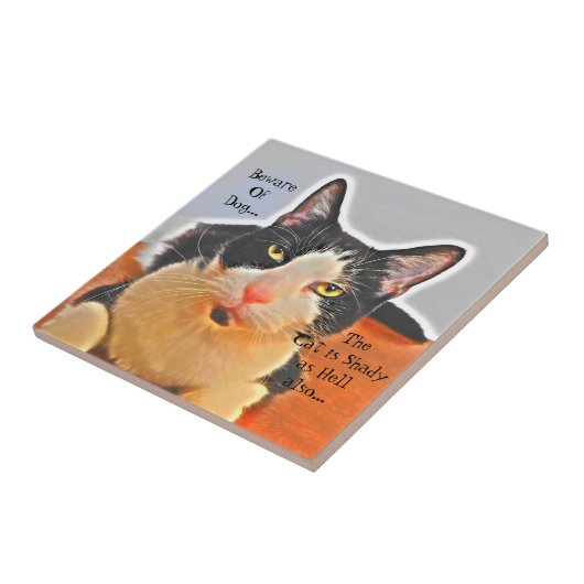 Shady Cat Keramik Tile Fliese (Seite)