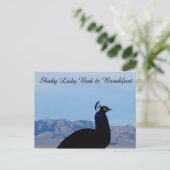 Shady Lady Bed & Breakfast Postkarte (Stehend Vorderseite)