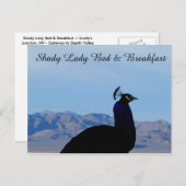Shady Lady Bed & Breakfast Postkarte (Vorne/Hinten)