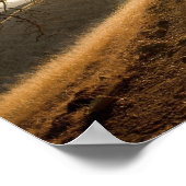 Shady Oak und California Susnet Print Poster (Ecke)