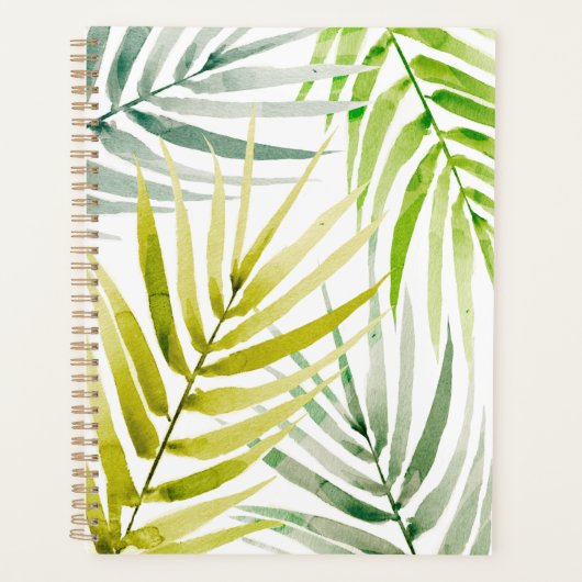 Shady Palms Planer (Vorderseite)