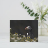 Shady Puffin Postkarte (Stehend Vorderseite)