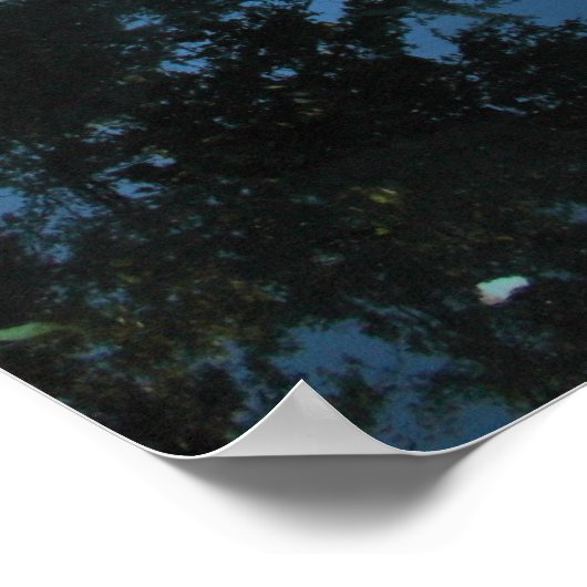 Shady River Poster (Ecke)