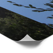 Shady Saguaro Poster (Ecke)