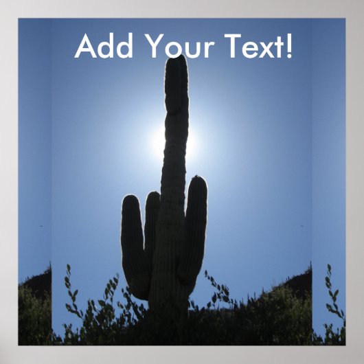 Shady Saguaro Poster (Vorne)