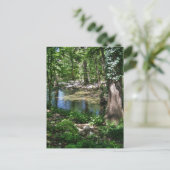 Shady Texas Creek Postkarte (Stehend Vorderseite)