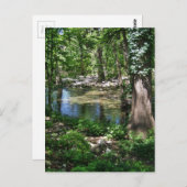 Shady Texas Creek Postkarte (Vorne/Hinten)