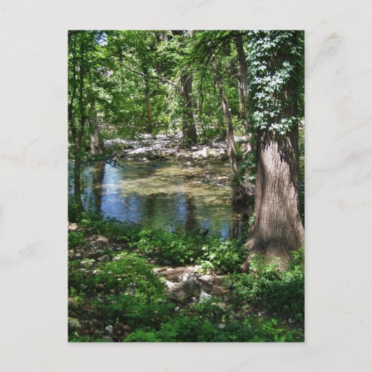 Shady Texas Creek Postkarte (Vorderseite)