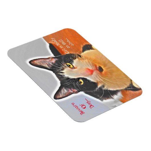 Shady Tuxedo Cat Magnet (Rechte Seite)