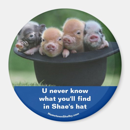 Shae's Hut Magnet (Vorne)