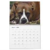 Shaggi-Shack-Kalender Kalender (Mär 2026)