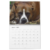 Shaggi-Shack-Kalender Kalender (Mär 2027)