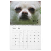 Shaggi-Shack-Kalender Kalender (Feb 2027)