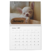 Shaggi-Snack-Pack-Kalender Kalender (Jan 2027)
