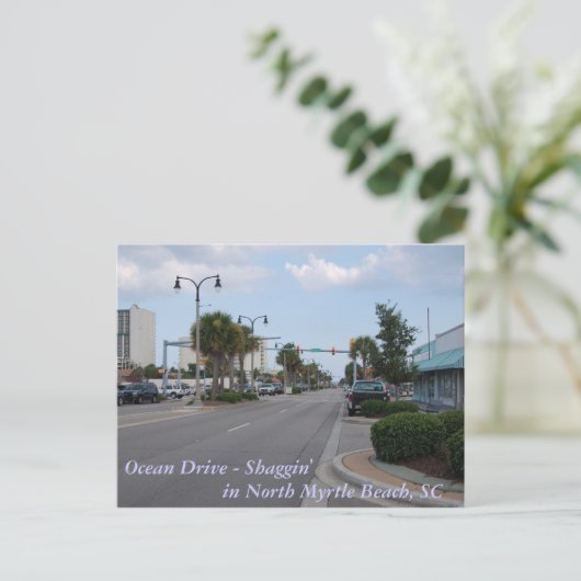 Shaggin am Ocean Drive Postkarte (Stehend Vorderseite)