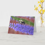 Shaggy Biene Karte (Gelbe Blume)