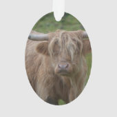 Shaggy blonde Hochland-Kuh Ornament (Rückseite)