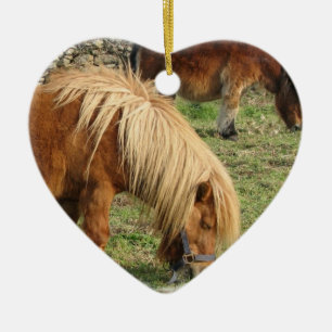 Shaggy die Shetlandinseln-Pony-Verzierung Keramik Ornament