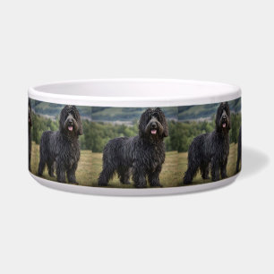 "Shaggy Elegance: The Black Bergamasco Sheepdog" Napf