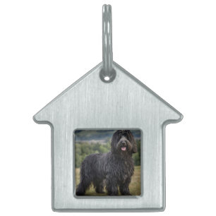 "Shaggy Elegance: The Black Bergamasco Sheepdog" Tiermarke