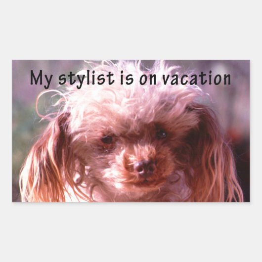 Shaggy Hair Dog Rechteckiger Aufkleber (Vorderseite)