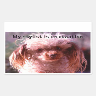 Shaggy Hair Dog Rechteckiger Aufkleber