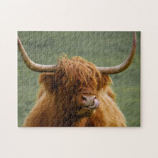 Shaggy Haired Scottish Highland Cow Nature Animal Puzzle (Horizontal)