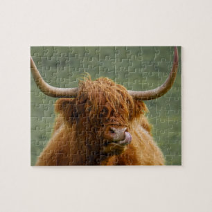Shaggy Haired Scottish Highland Cow Nature Animal Puzzle
