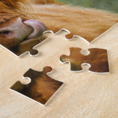 Shaggy Haired Scottish Highland Cow Nature Animal Puzzle (Seite)