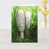 "Shaggy Ink Cap" Karte (Gelbe Blume)